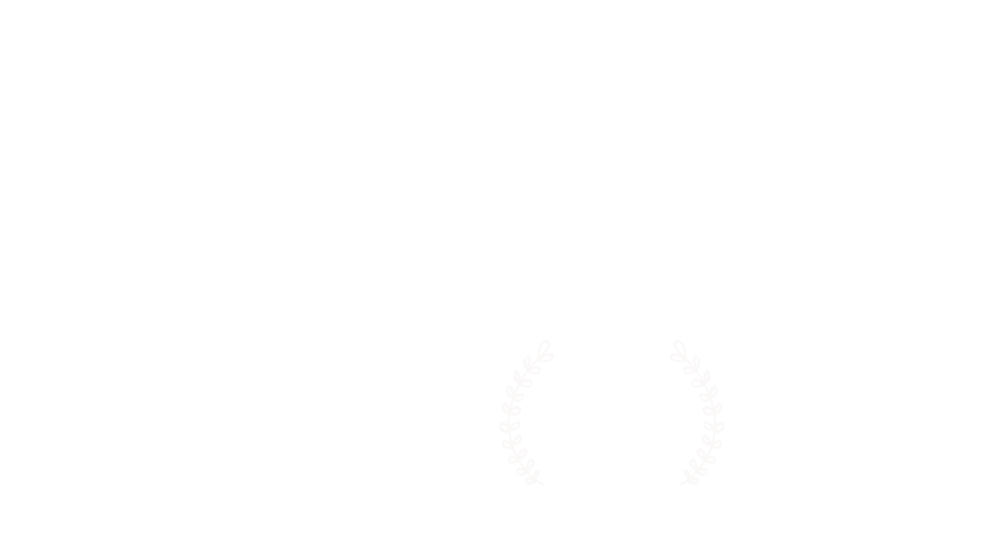Festival laurels — Video Art